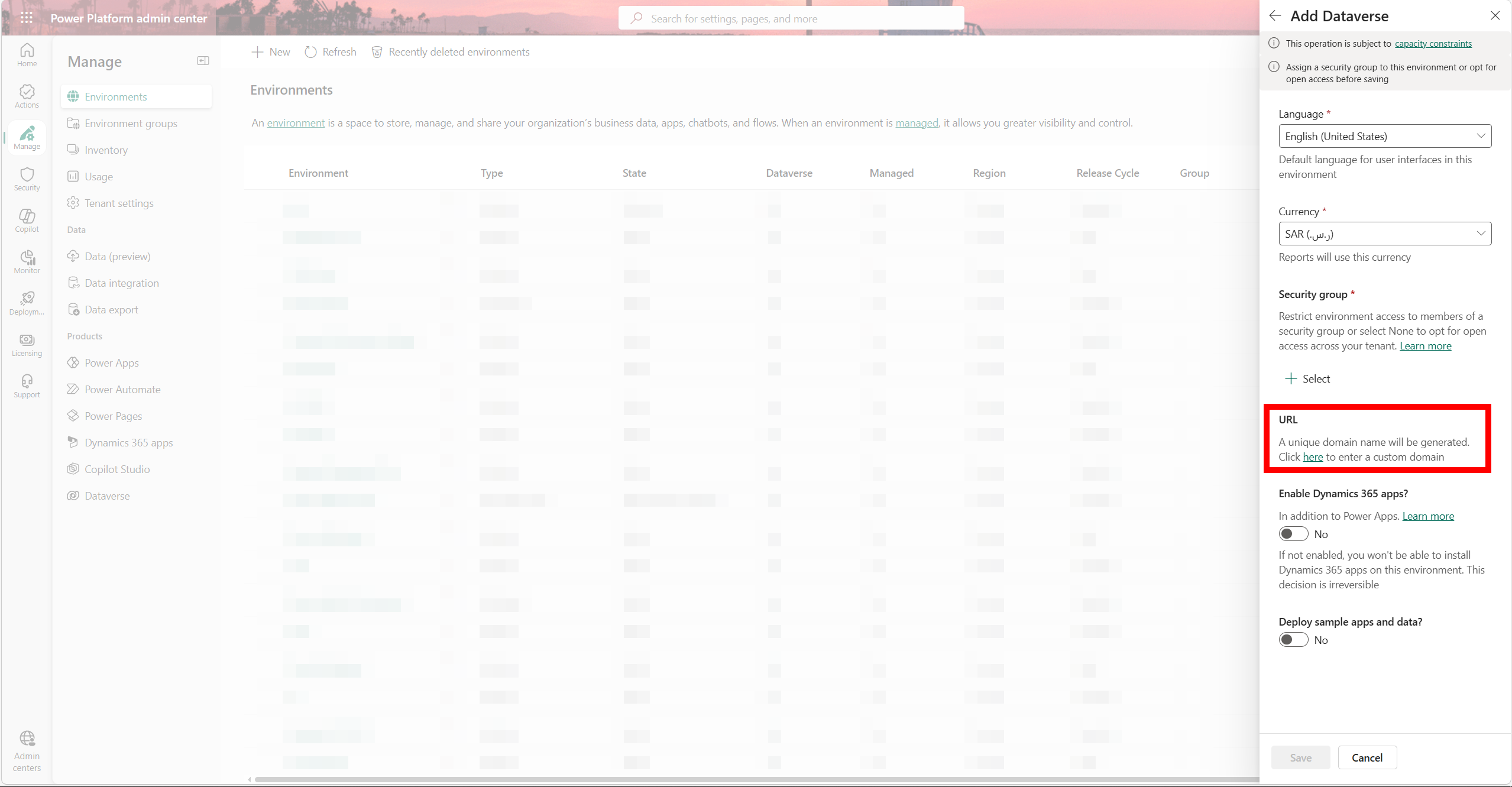 Power Platform Admin Center: Organization URL field during environment creation